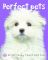 Perfect Pets (Bright Baby Touch and Feel Series)