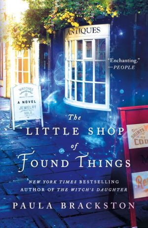 Book The Little Shop of Found Things: A Novel