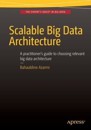 Progressive Big Data Architecture: A practitioners guide to choosing relevant Big Data architecture
