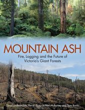 Mountain Ash: Fire, Logging and the Future of Victoria's Giant Forests