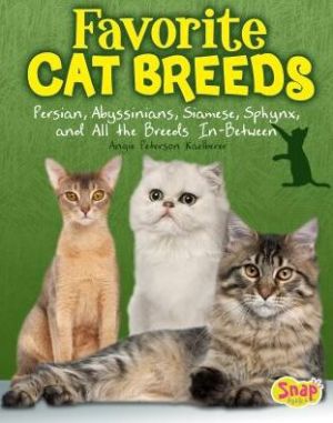 Favorite Cat Breeds: Persians, Abyssinians, Siamese, Sphynx, and all the Breeds In-Between