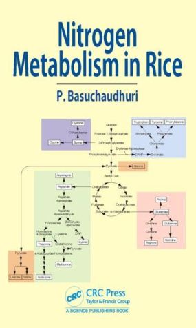 Nitrogen Metabolism in Rice