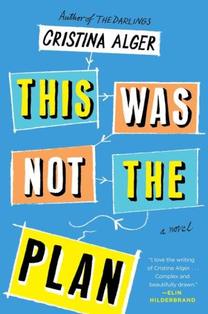 This Was Not the Plan: A Novel