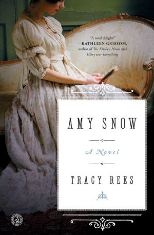 Amy Snow: A Novel