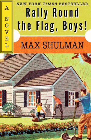 Rally Round the Flag, Boys!: A Novel