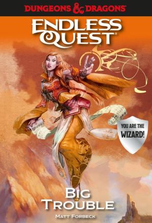 Book Dungeons & Dragons: Big Trouble: An Endless Quest Book
