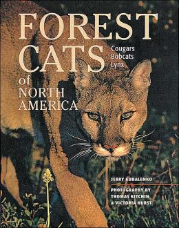 Forest Cats of North America Jerry Kobalenko, Thomas Kitchin and Victoria Hurst