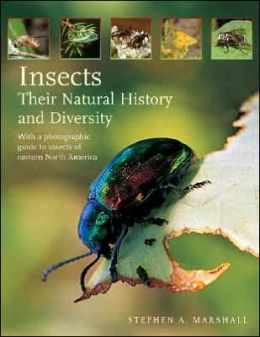 Insects: Their Natural History and Diversity: With a Photographic Guide to Insects of Eastern North America
