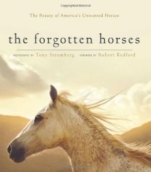 Forgotten Horses: Discovering the Beauty of North America's Abandoned Equines