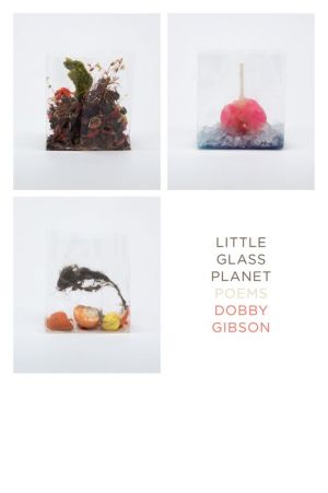 Little Glass Planet: Poems|Paperback