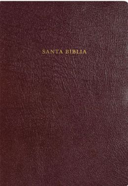 RVR 1960 Rainbow Study Bible (Burgundy Bonded Leather - Indexed)