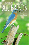 Bluebirds