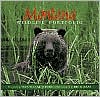 Montana Wildlife Portfolio