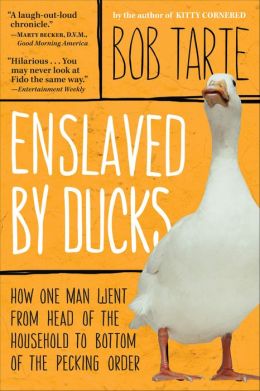 Enslaved by Ducks