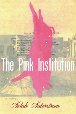 The Pink Institution