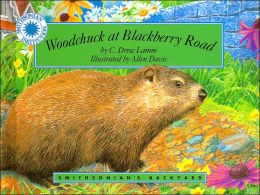 Woodchuck at Blackberry Road (Smithsonian's Backyard) C. Drew Lamm and Allen Davis