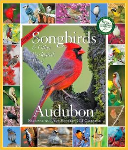 2011 Audubon 365 Songbirds Picture-A-Day Wall Calendar