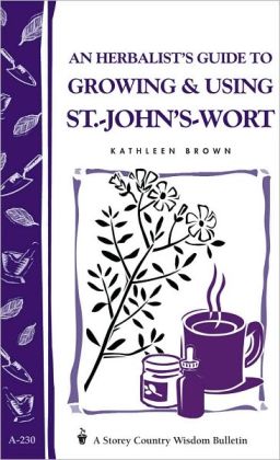 An Herbalist's Guide to Growing and Using St. -John's-Wort