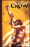 Crow, Volume 1: Vengeance