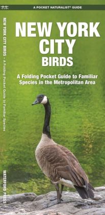 New York City Birds: An Introduction to Familiar Species in the Metropolitan Area