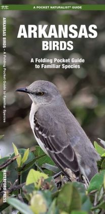 Arkansas Birds: An Introduction to Familiar Species