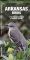 Arkansas Birds: An Introduction to Familiar Species