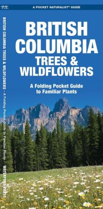 British Columbia Trees and Wildflowers: An Introduction to Familiar Plants