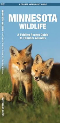 Tennessee Wildlife: An Introduction to Familiar Species (A Pocket Naturalist® Guide) J. M. Kavanagh and Raymond Leung