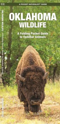 Oklahoma Wildlife: An Introduction to Familiar Species (A Pocket Naturalist Guide) J. M. Kavanagh and Raymond Leung
