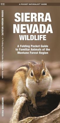 Sierra Nevada Wildlife: A Folding Pocket Guide to Familiar Montane Forest Species (A Pocket Naturalist Guide) James Kavanagh and Raymond Leung