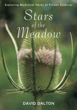 Stars of the Meadow: Exploring Medicinal Herbs as Flower Essences David Dalton