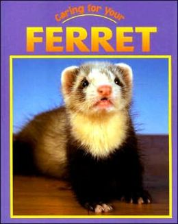 Caring for Your Ferret
