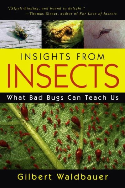 Insights from Insects