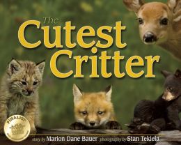 The Cutest Critter