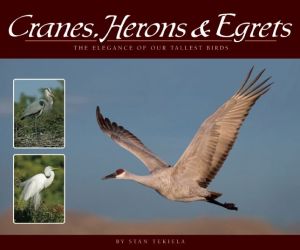 Cranes, Herons & Egrets: The Elegance of Our Tallest Birds