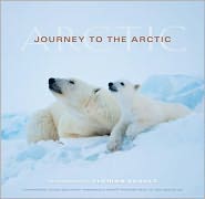 Visions of the Arctic