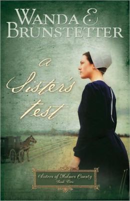 A Sister's Test (Sisters of Holmes County Series #2)