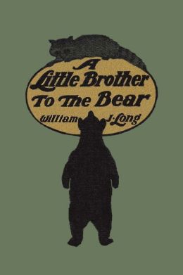 A Little Brother To The Bear