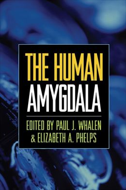 Amygdala Removal For Humans