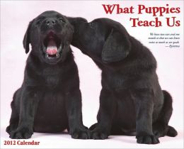 2012 What Puppies Teach Us Wall Calendar