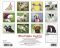 2012 What Puppies Teach Us Wall Calendar