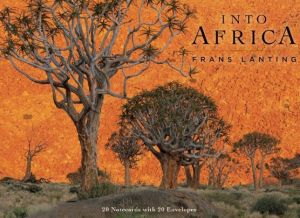 Into Africa: Blank Boxed Notecards