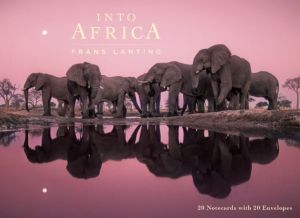 Into Africa Wildlife: Blank Boxed Notecards