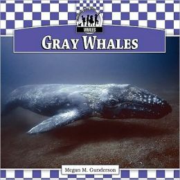 Gray Whales
