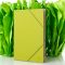 Muriel Cover in Lime