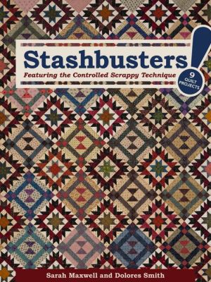 Stashbusters!: Featuring the Controlled Scrappy Technique - 9 Quilt Projects
