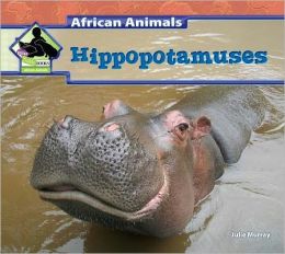 Hippopotamuses