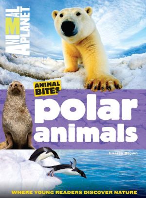 Animal Planet Polar Animals