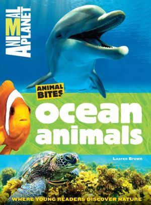 Animal Planet Ocean Animals