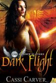Dark Flight